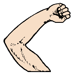 arm